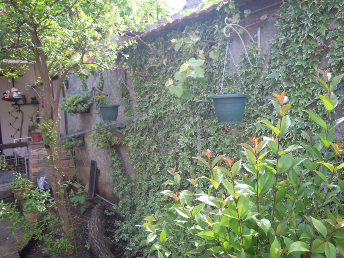 Angie'S Shared Villa Tam Tirana Exterior photo